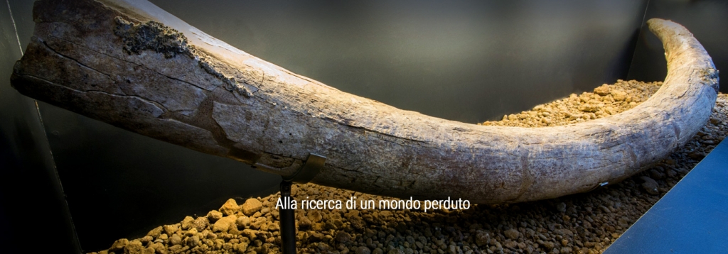 ricerca_mondo_perduto