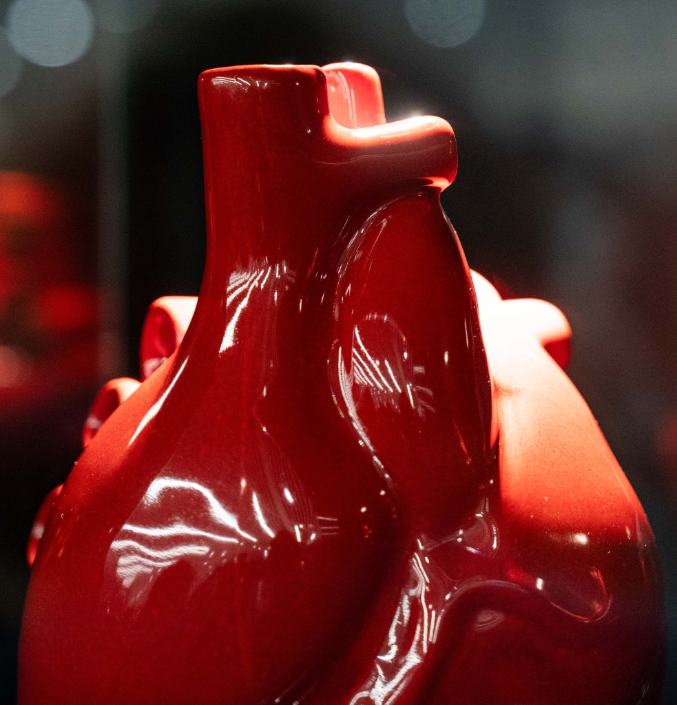 ADR_Inaugurazione Jago_4