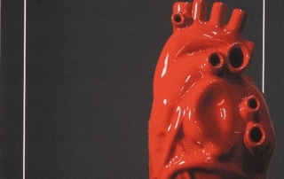 ADR_Inaugurazione Jago_5